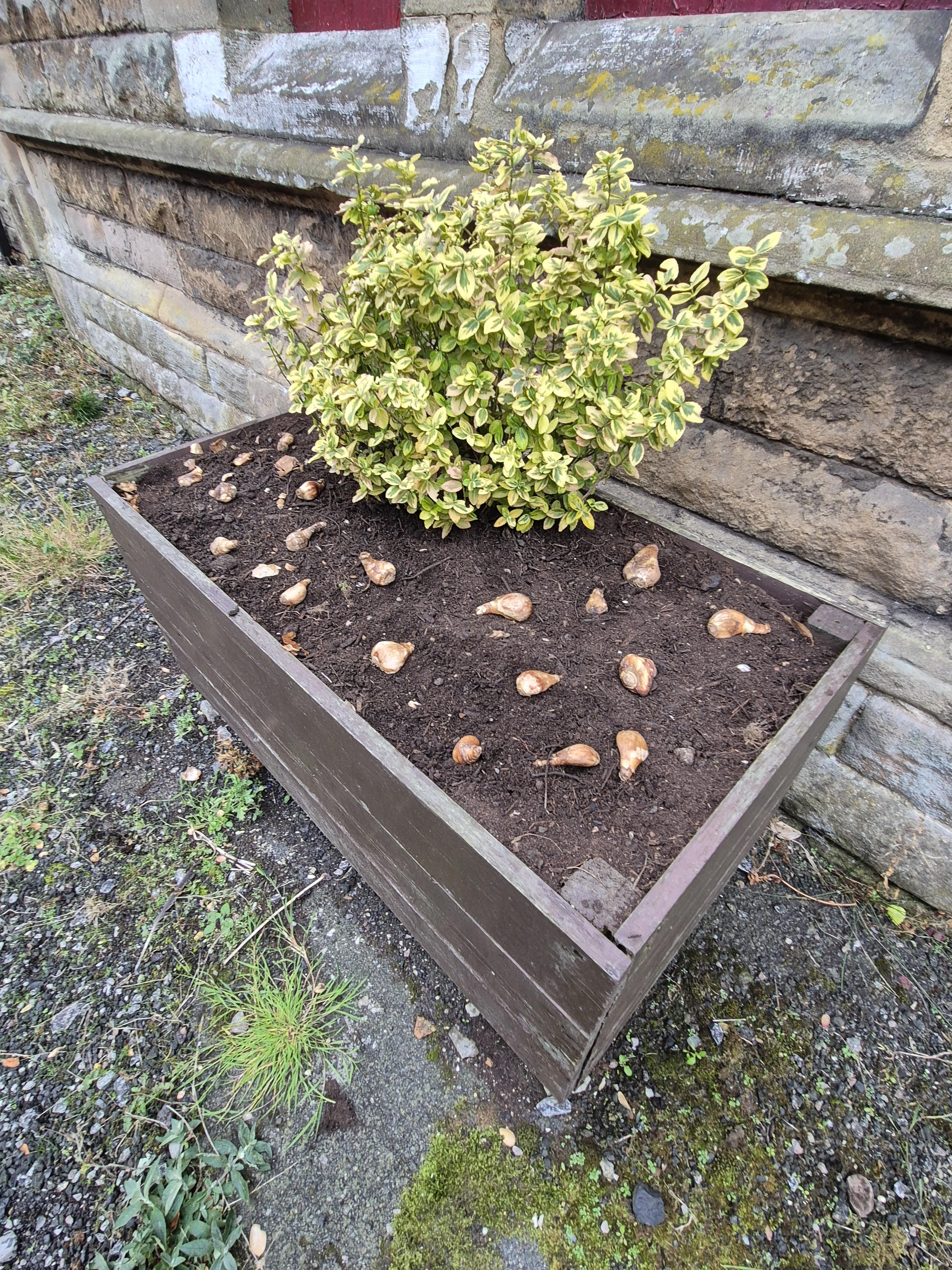 Planters