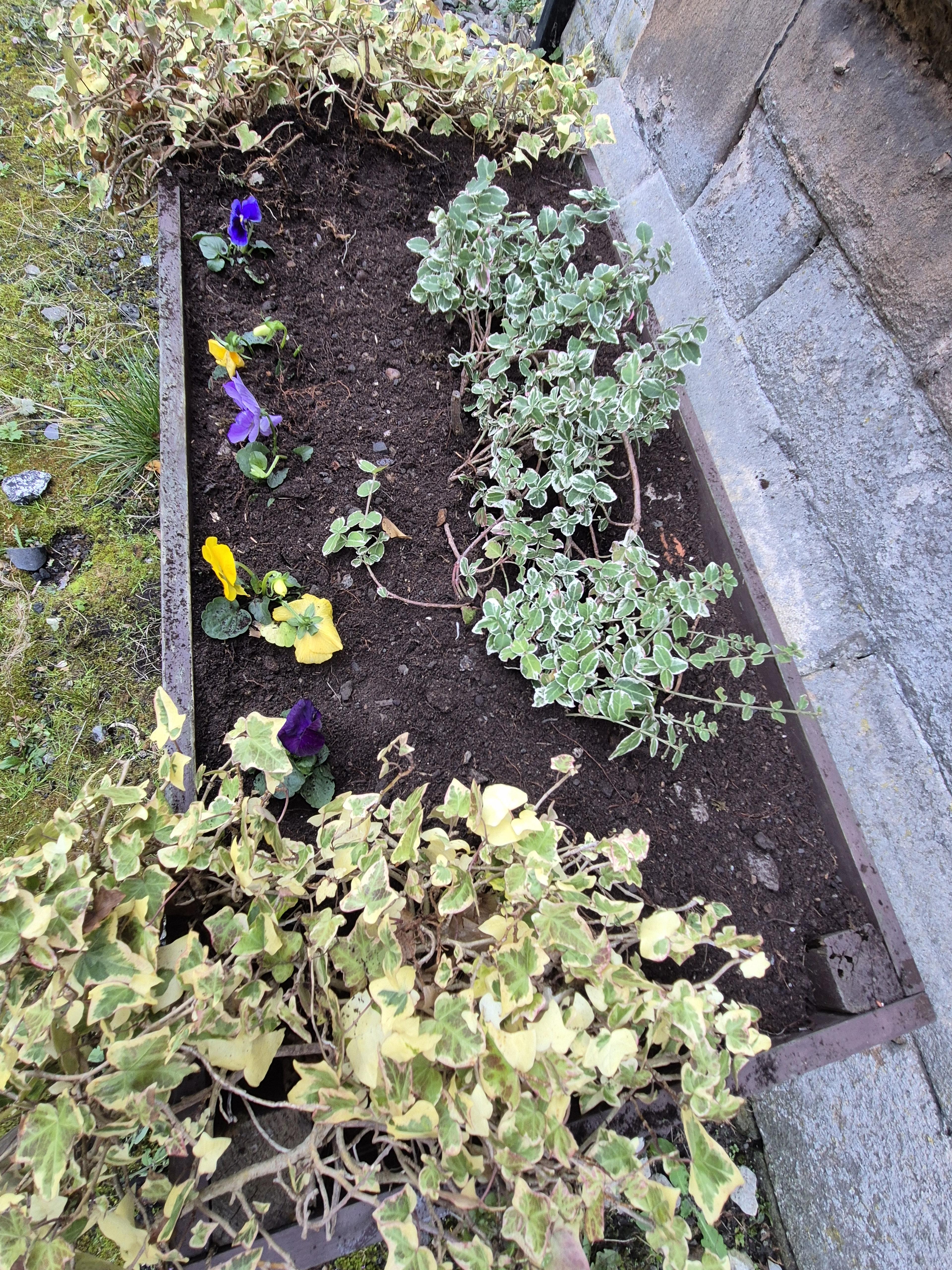 Planters