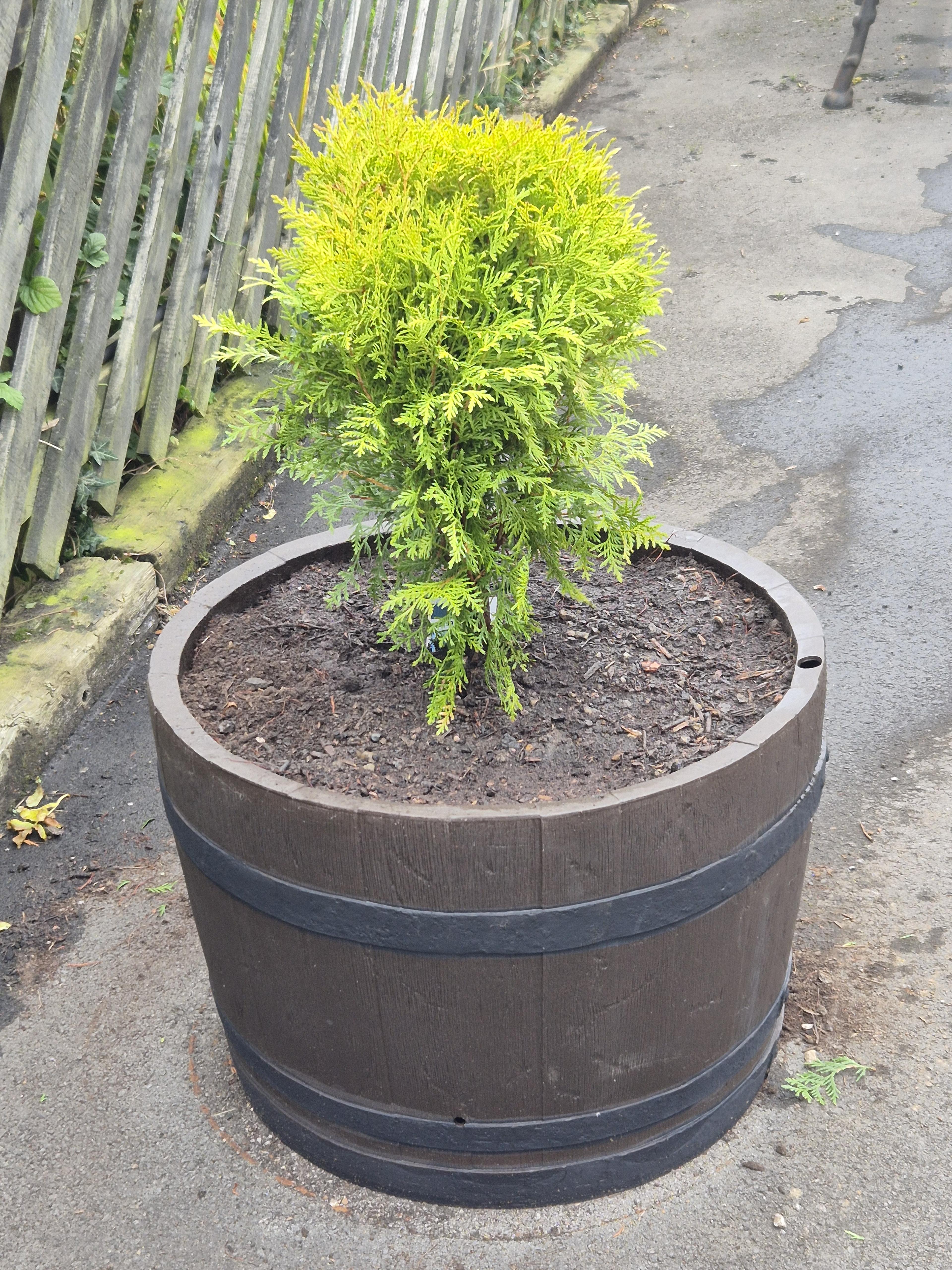 Planters